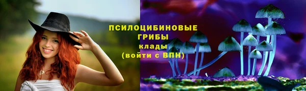 шишки Абинск