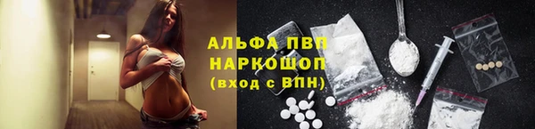 шишки Абинск