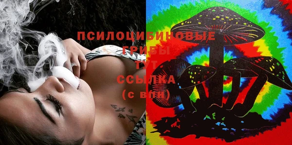 шишки Абинск
