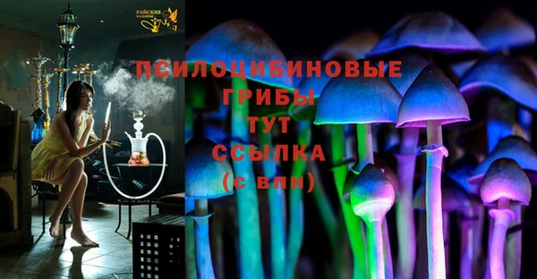героин Абаза