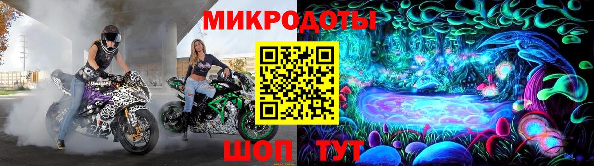 Псилоцибиновые грибы Psilocybe Ялта