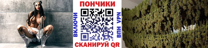 Шишки марихуана ГИДРОПОН  Ялта 